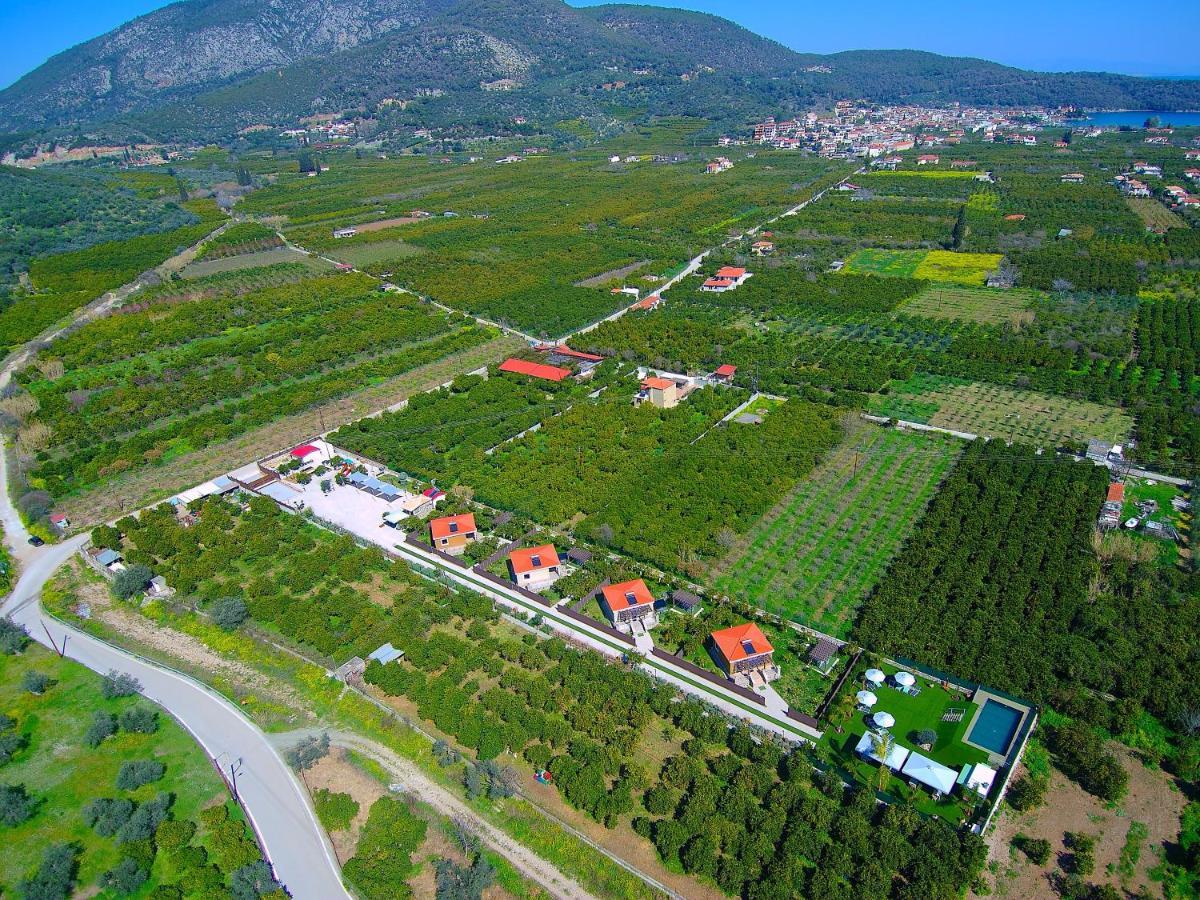 Desa Green Homes Epidaurus Buitenkant foto